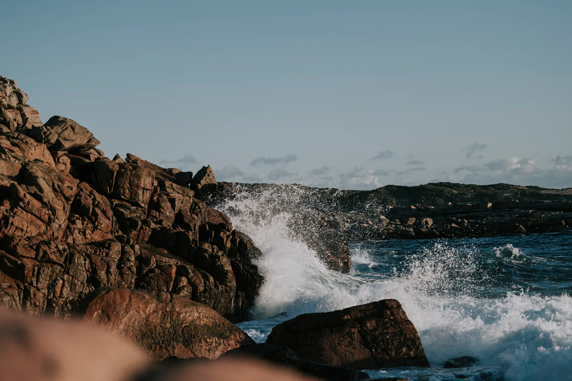 Cape to Vine