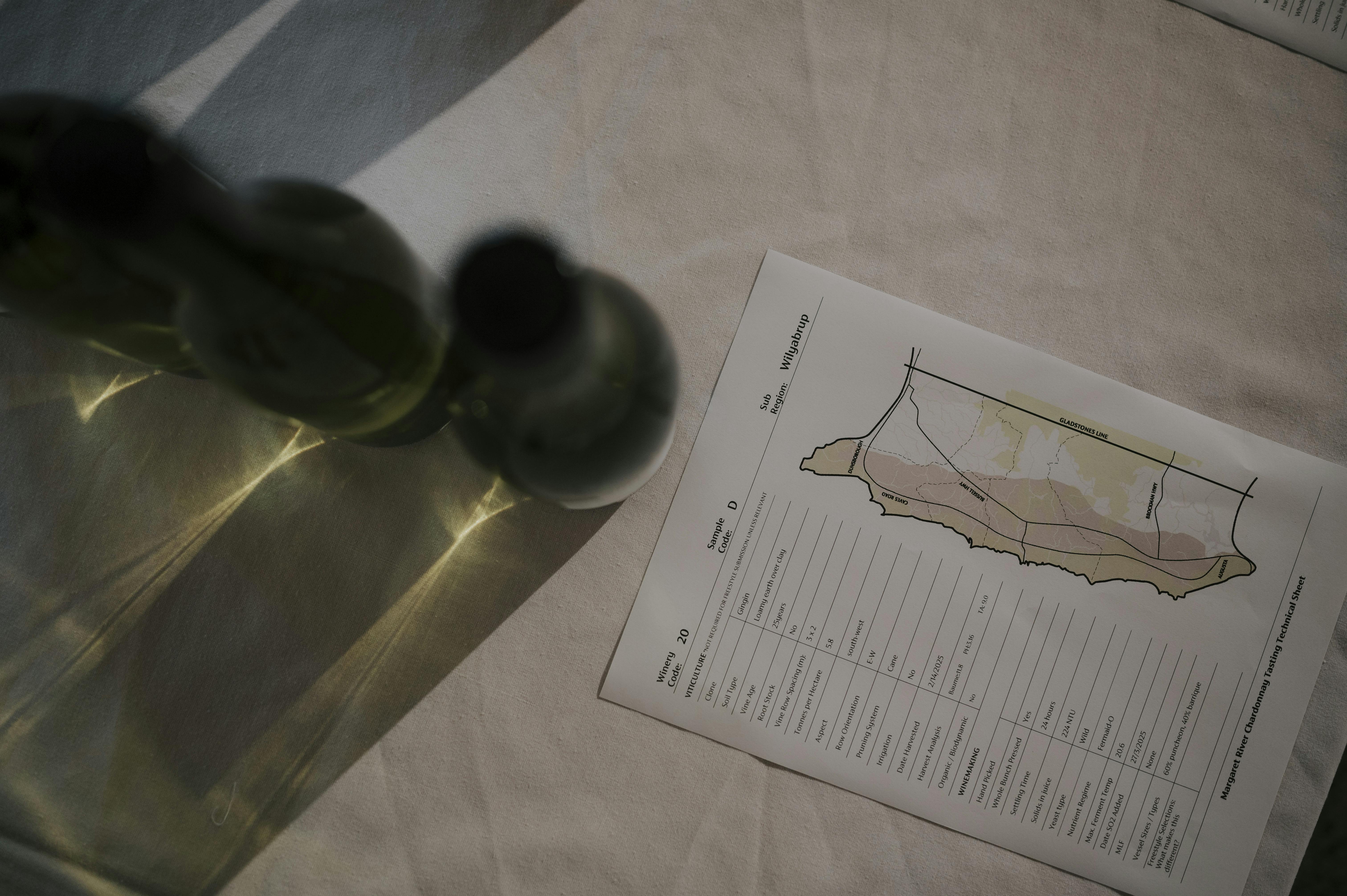 Chardonnay Tasting2025 12