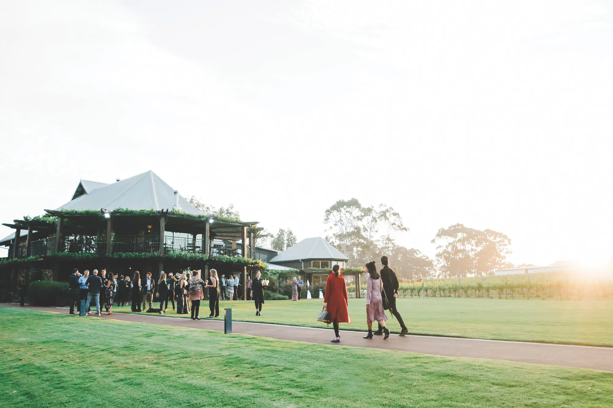 Club Landscape