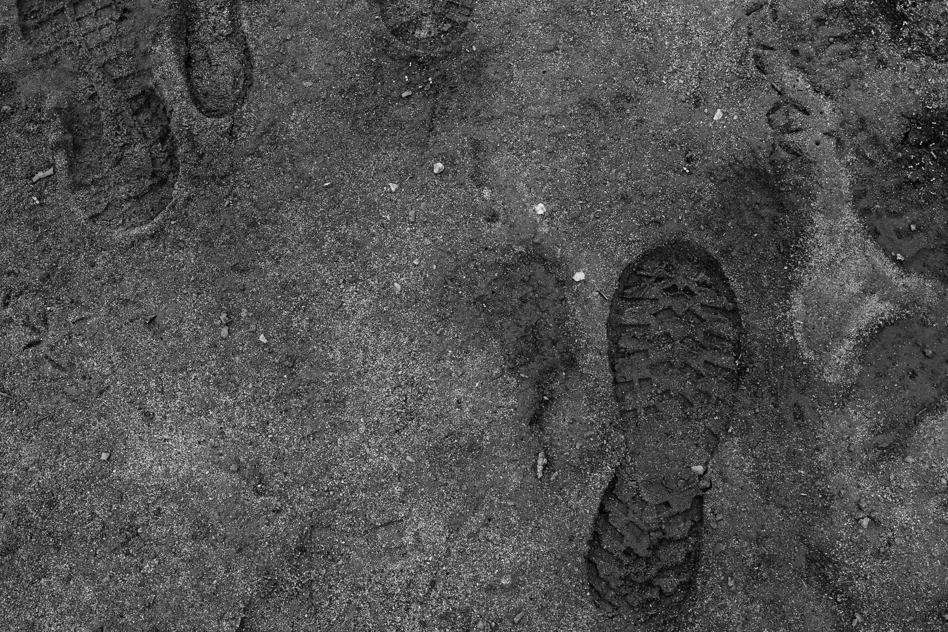 DRIFTWOODPHOTOGRAPHY 11