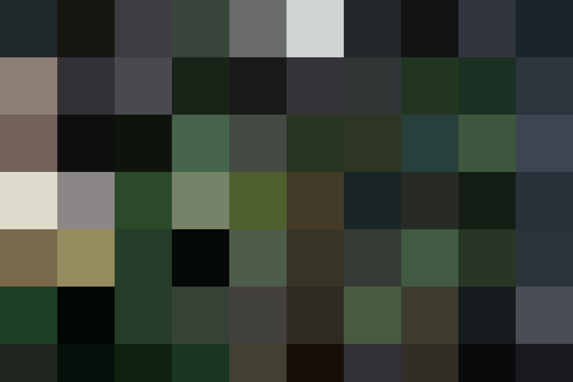 Forest