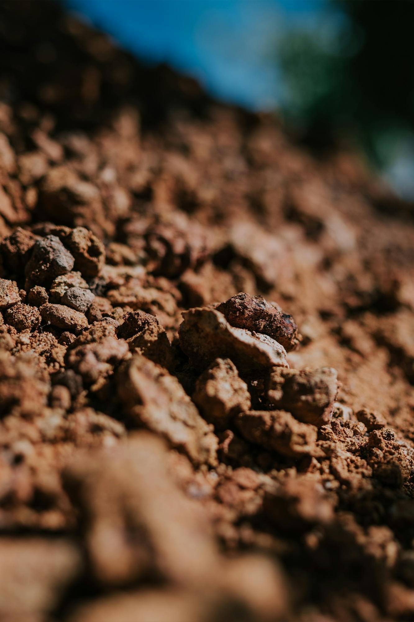 Home Vineyard Soils