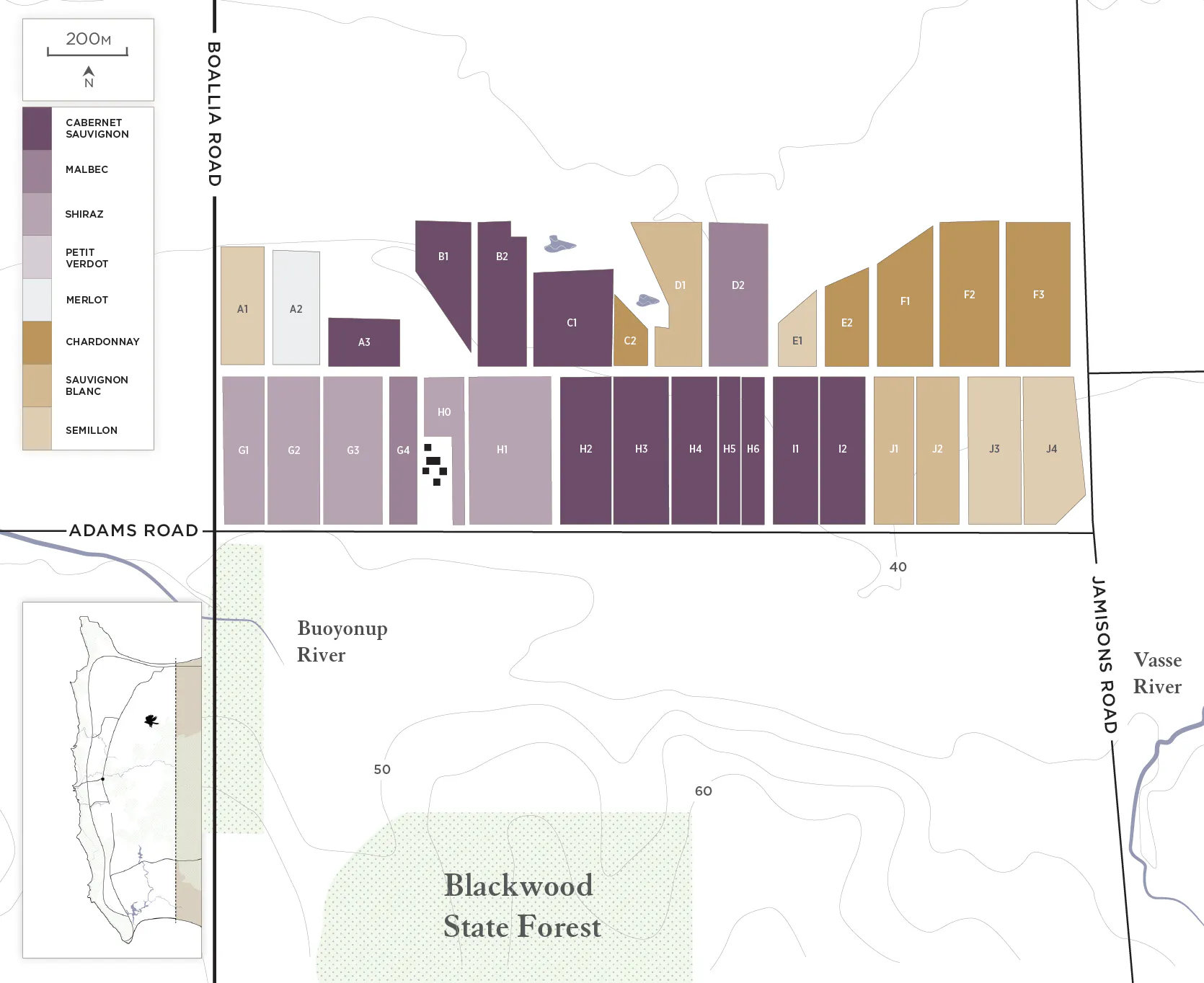 Adams Road Vineyard Map