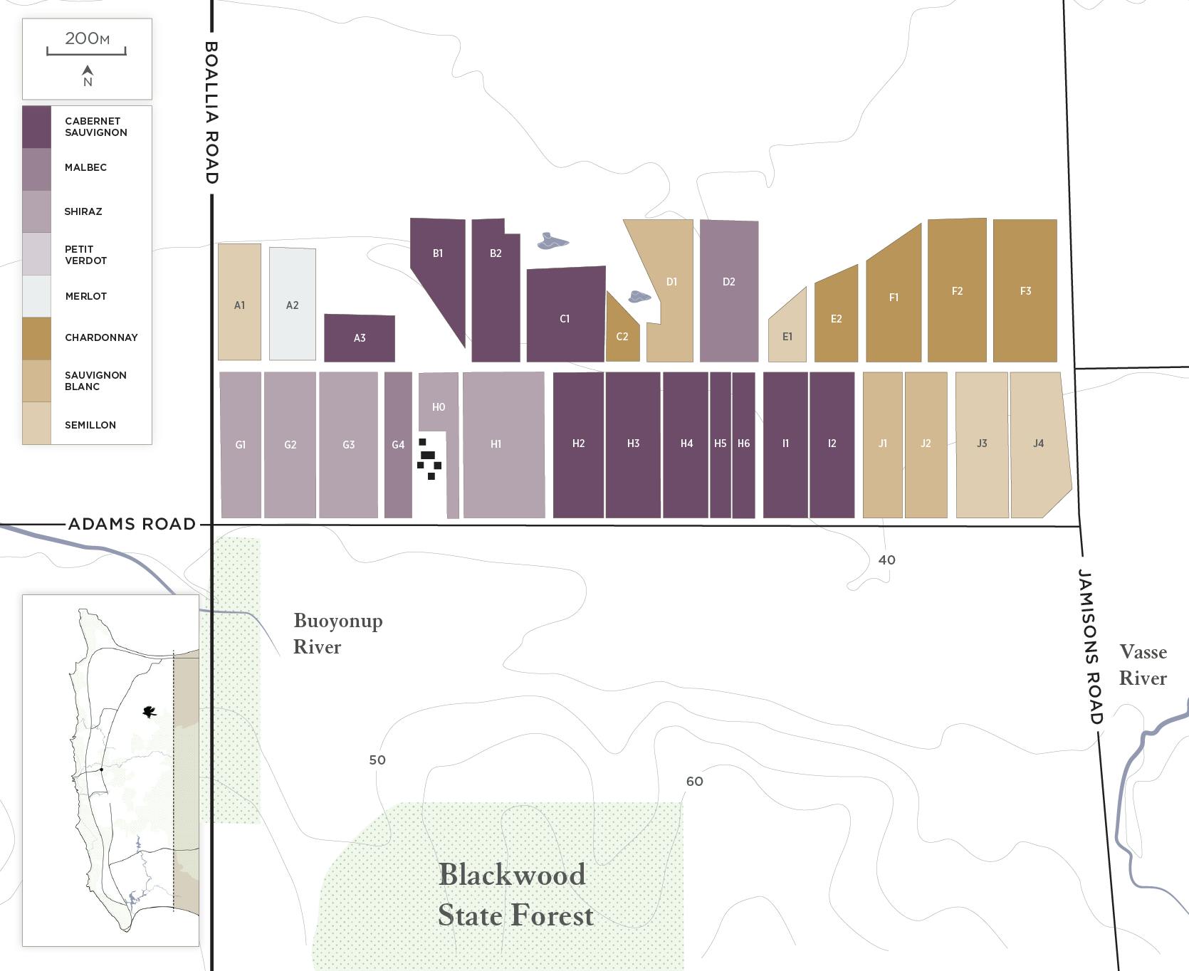 Adams Road Vineyard Map