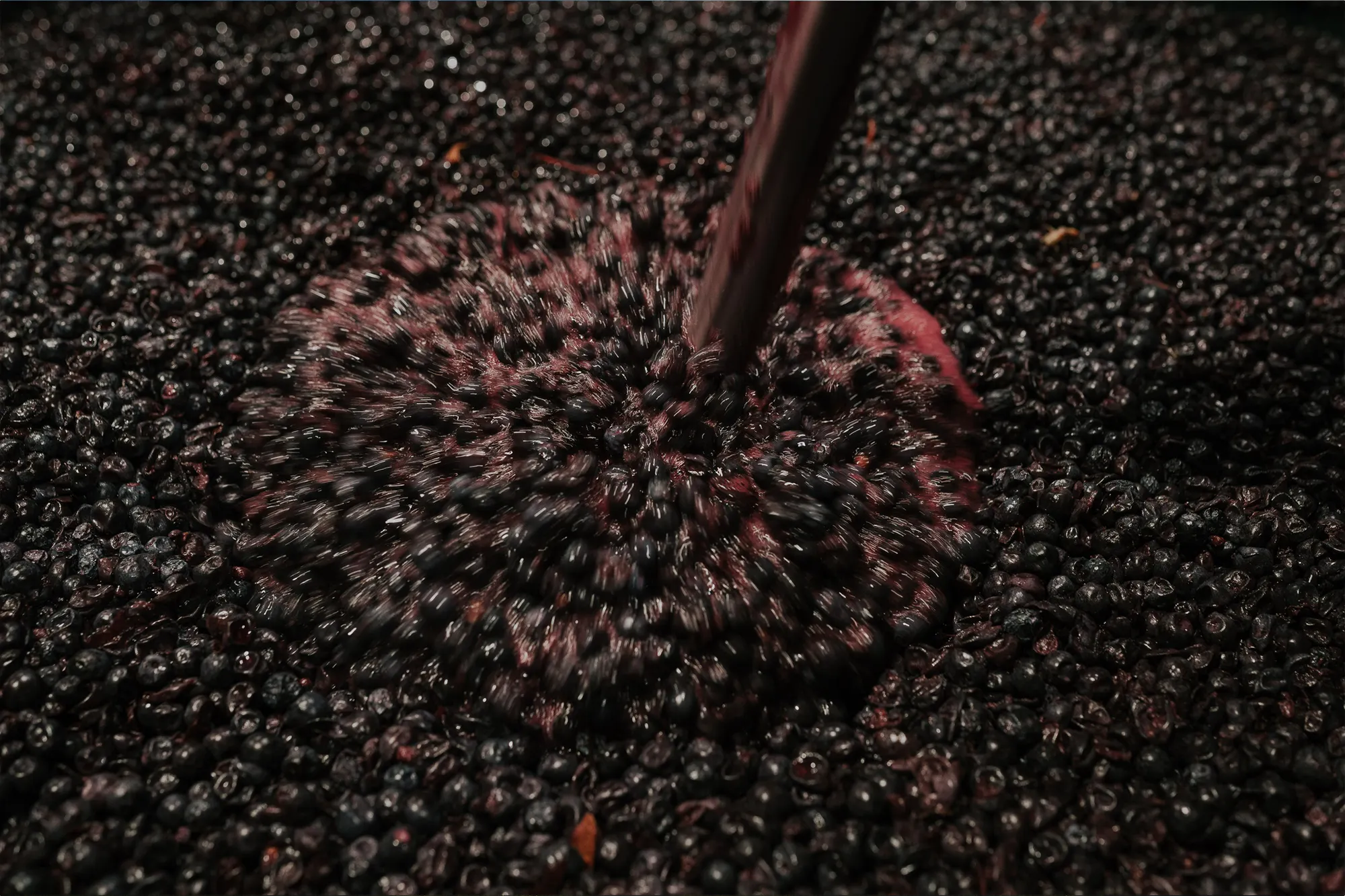 Cabernet plunge