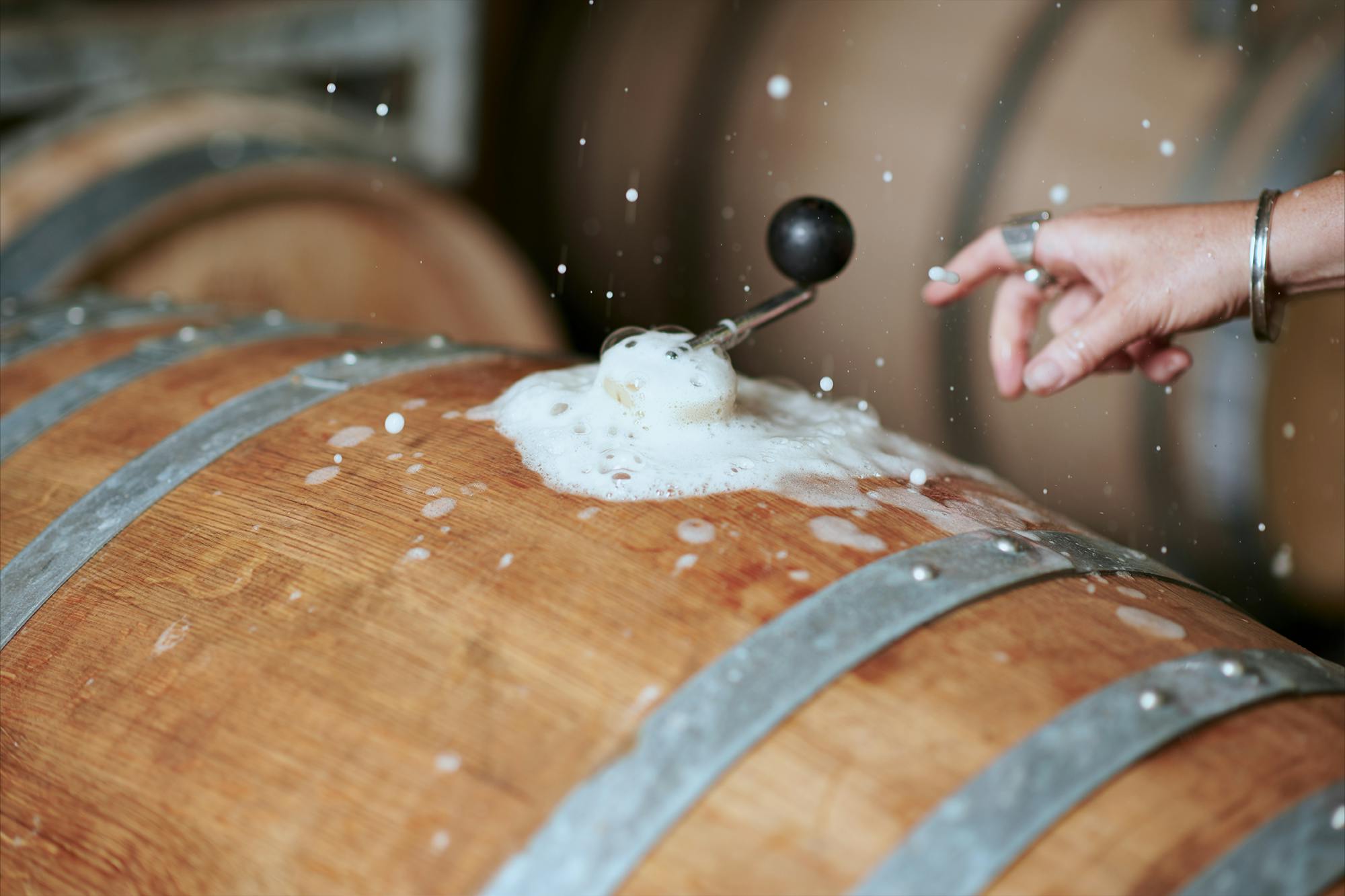 Chardonnay ferment
