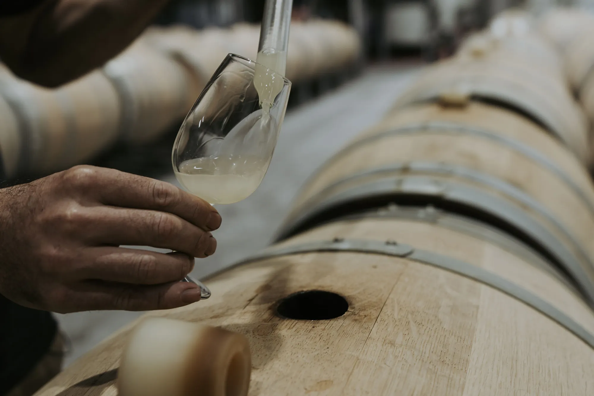 Chardonnay sampling