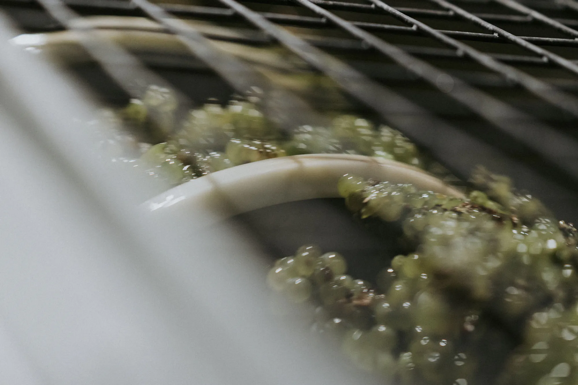 Chardonnay winemaking