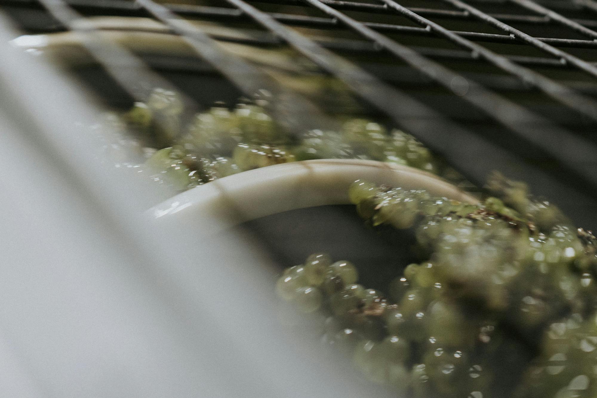 Chardonnay winemaking