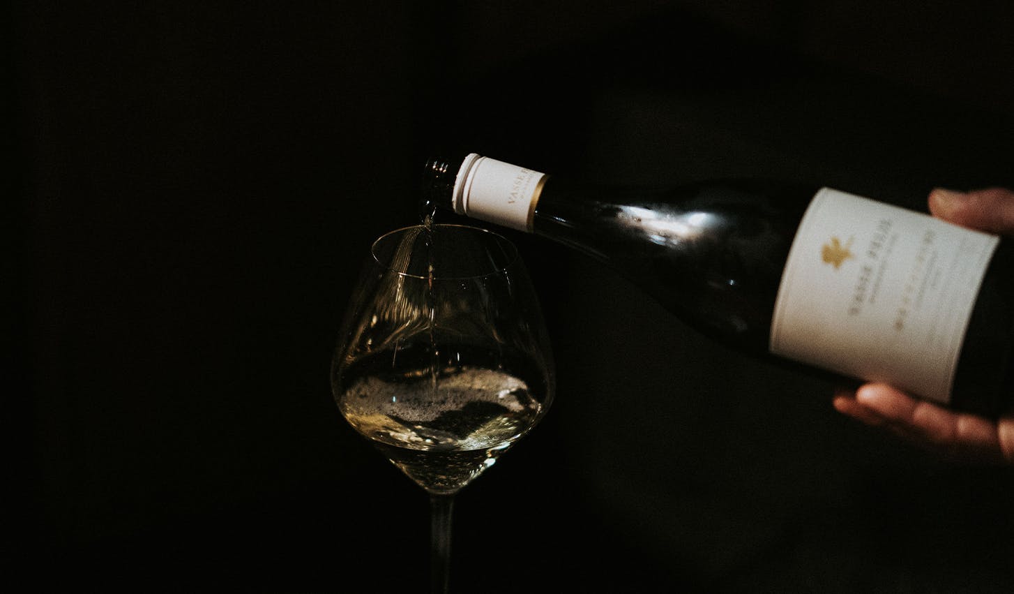 Chameleon homepage banner