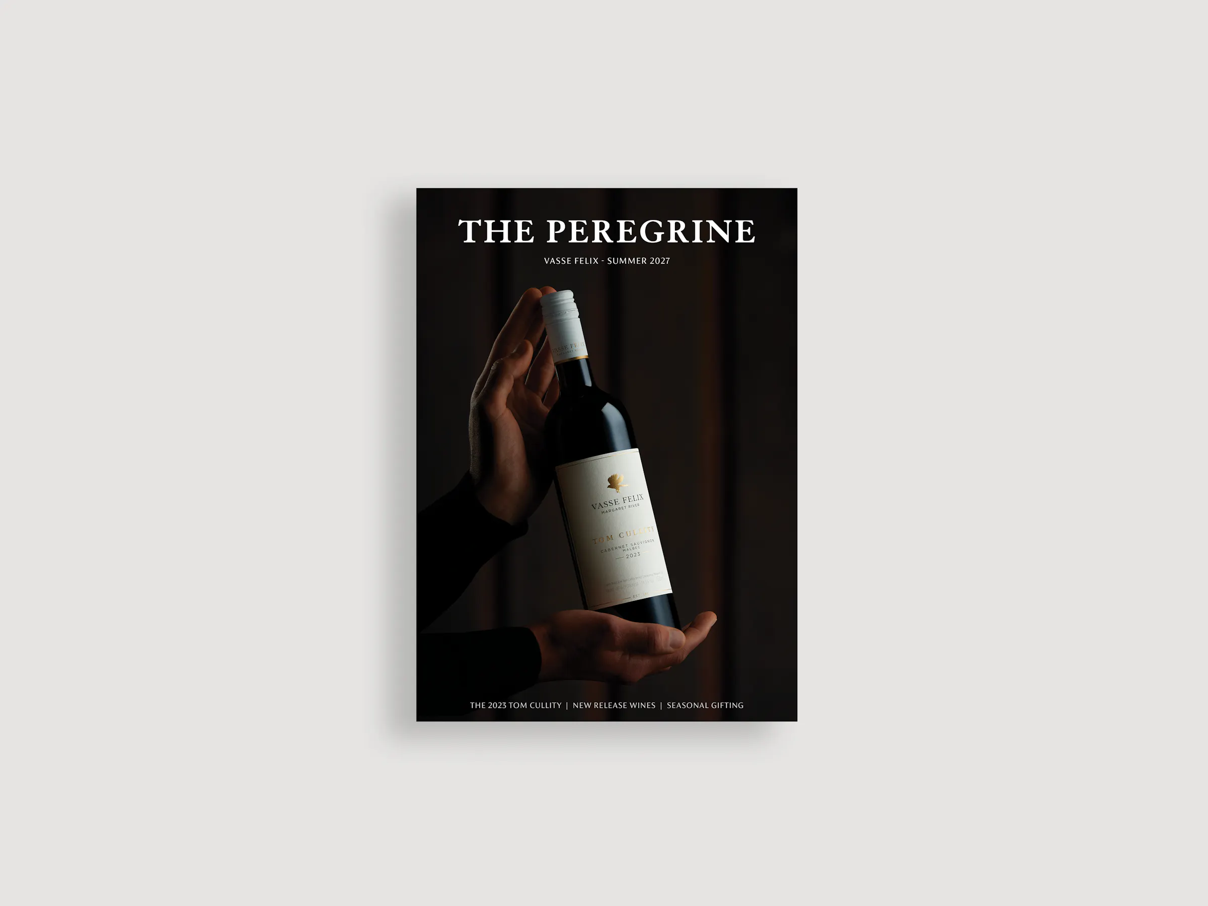 Cover Mockup 2027