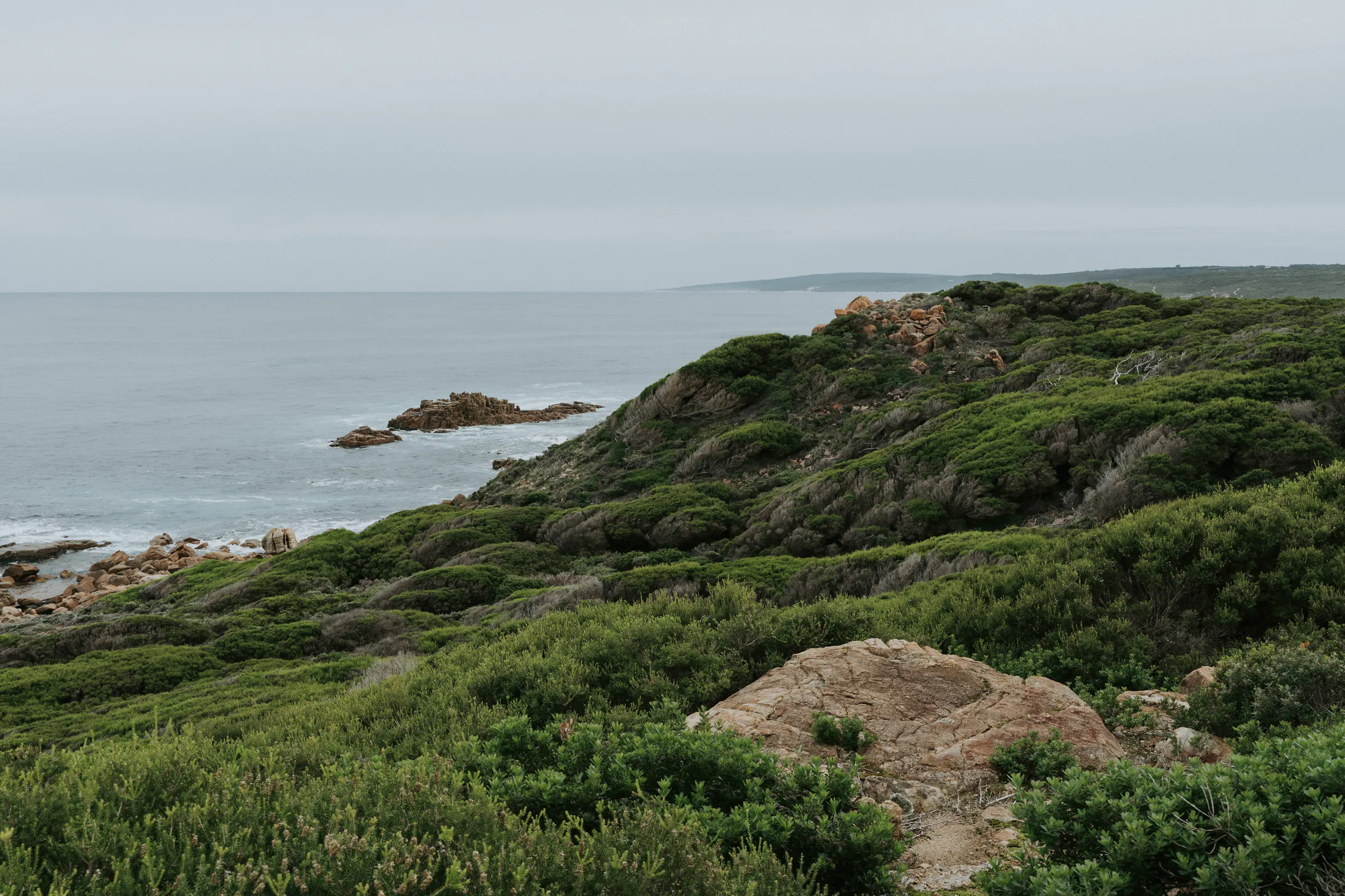 DRIFTWOODPHOTOGRAPHY 9
