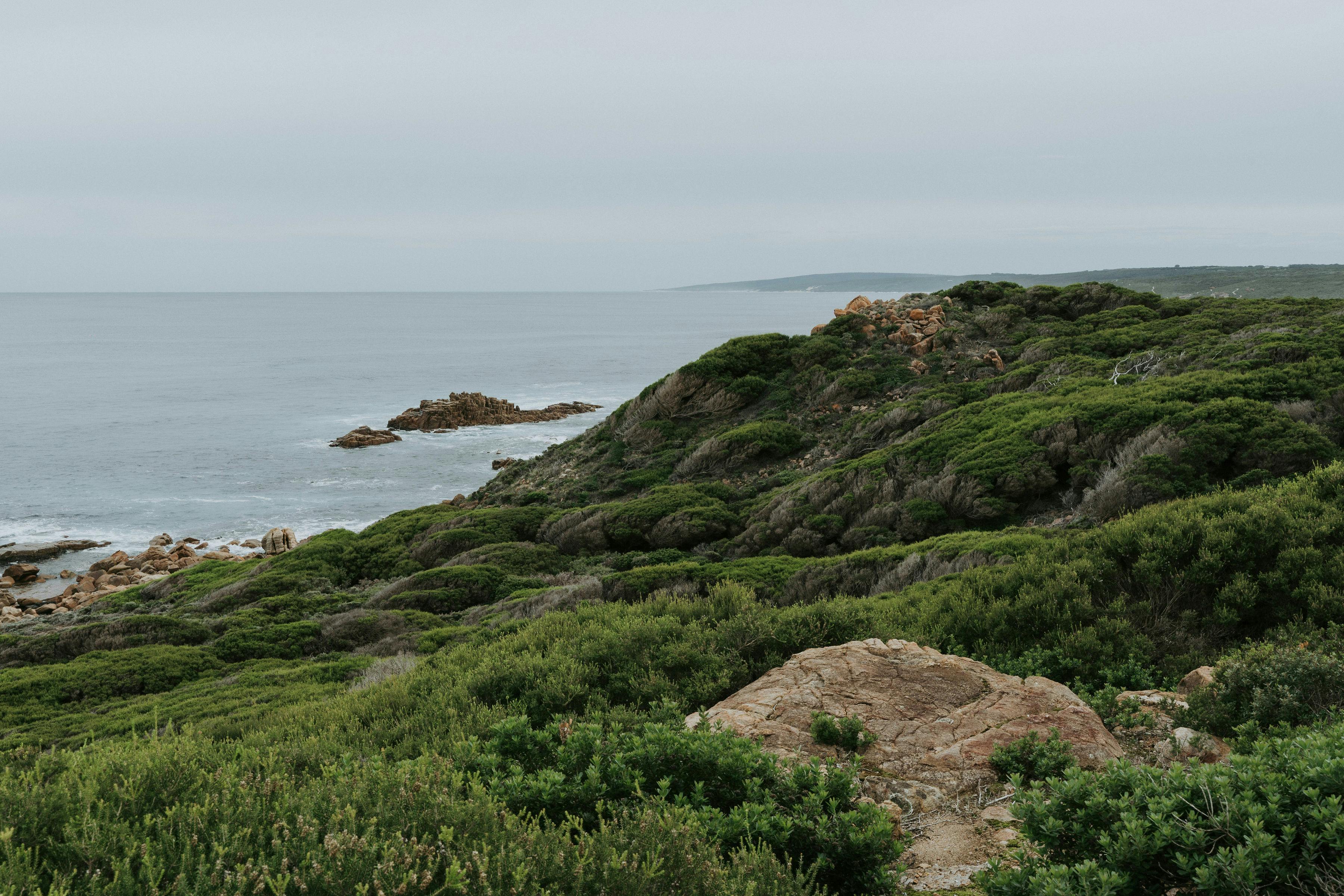 DRIFTWOODPHOTOGRAPHY 9