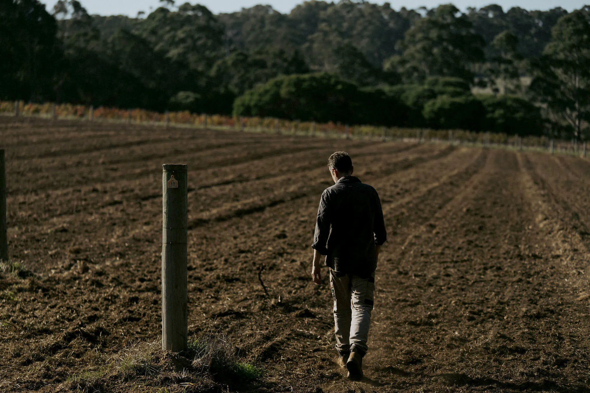Ian in Vineyard