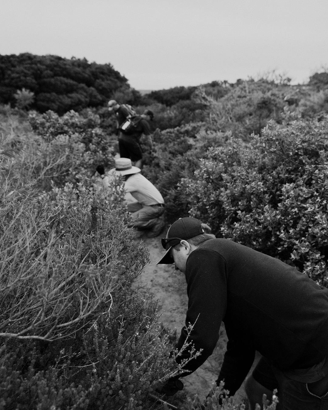 Instagram Portrait Image Template