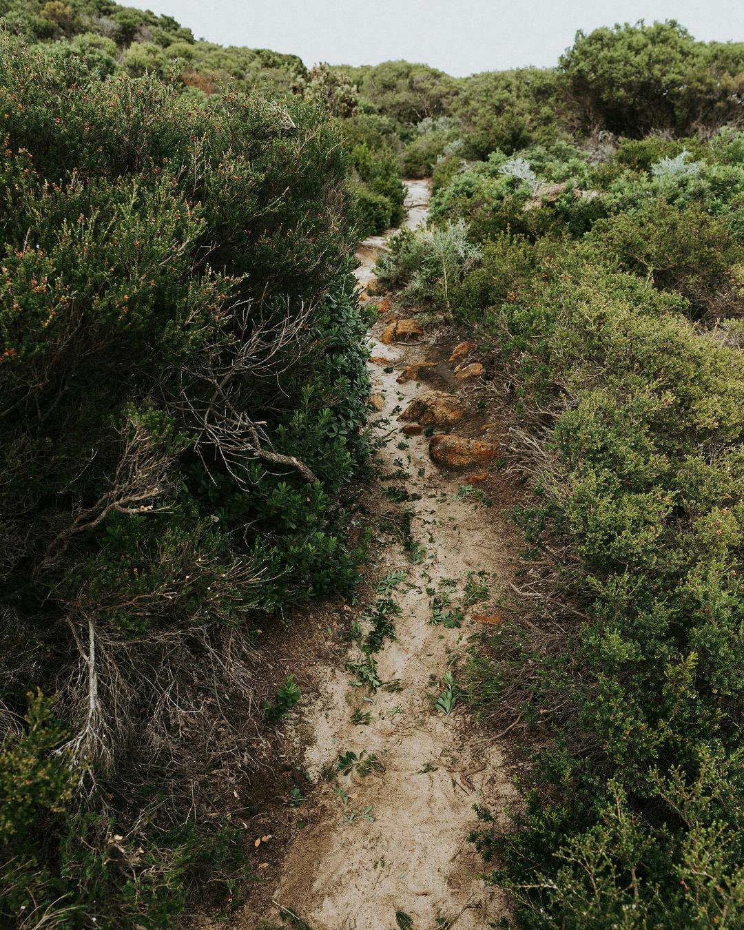 Instagram Portrait Image Template2