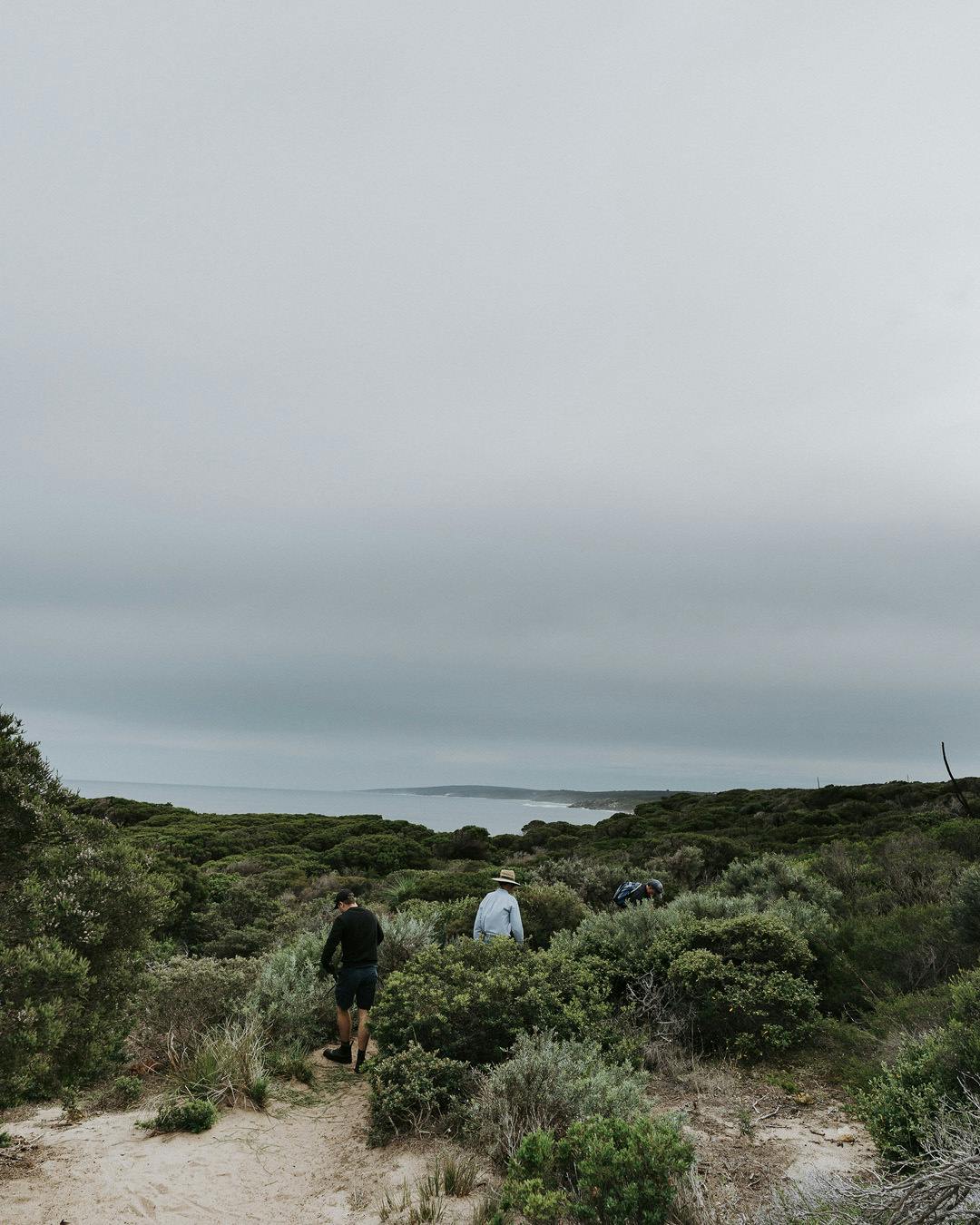 Instagram Portrait Image Template3