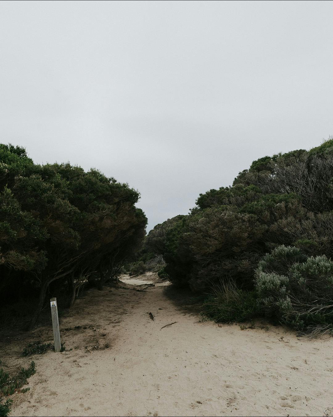 Instagram Portrait Image Template5