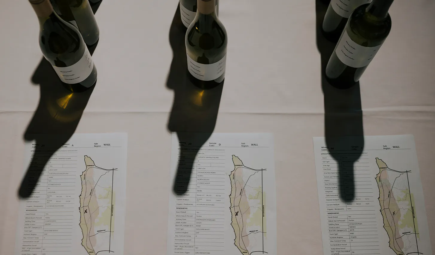 MR Chardonnay internal