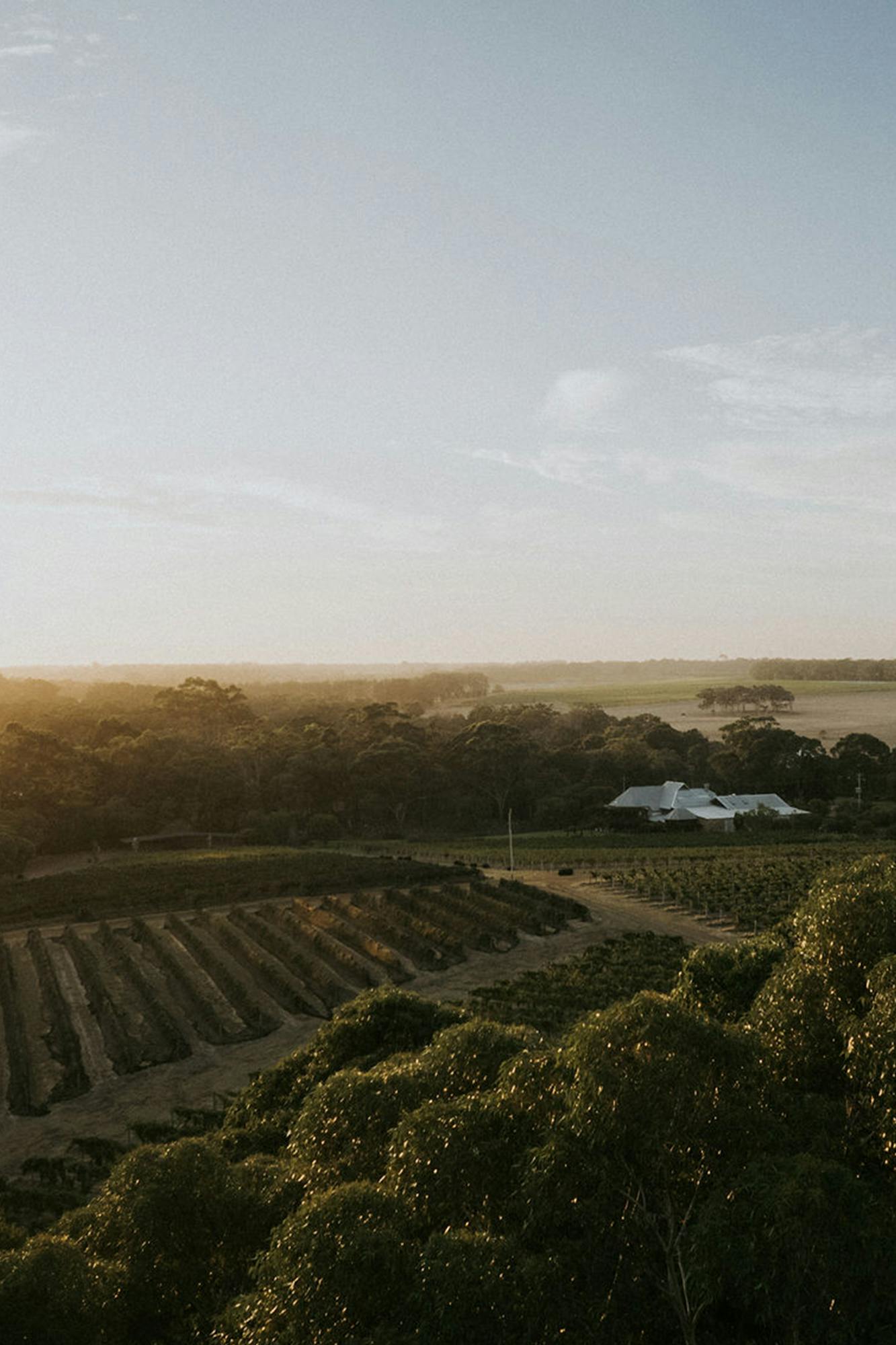 Portrait Halliday Top 100 Wineries