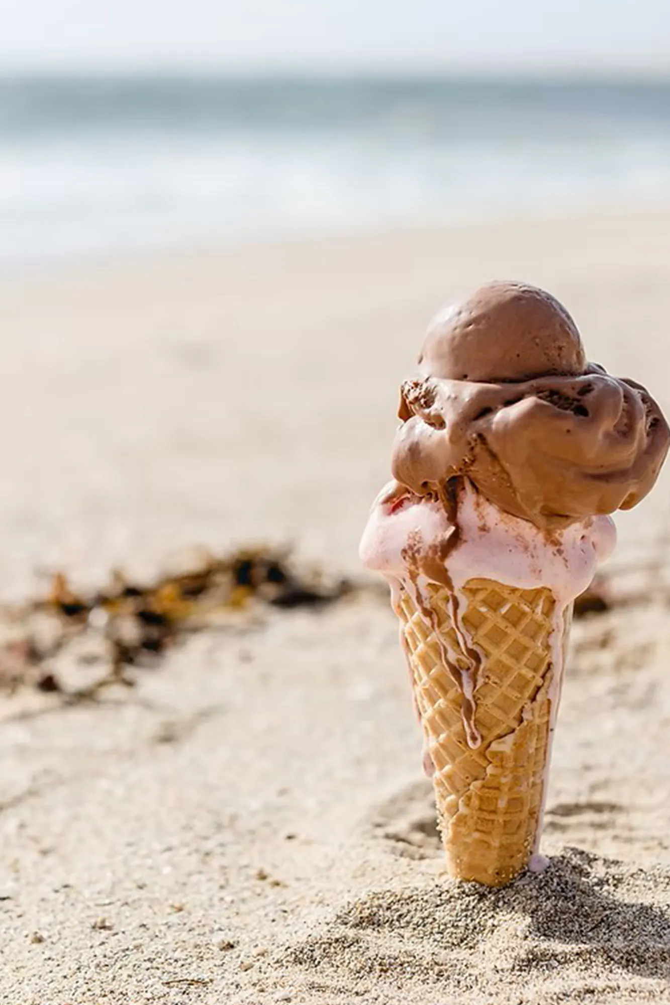 Portrait mai tardi gelato