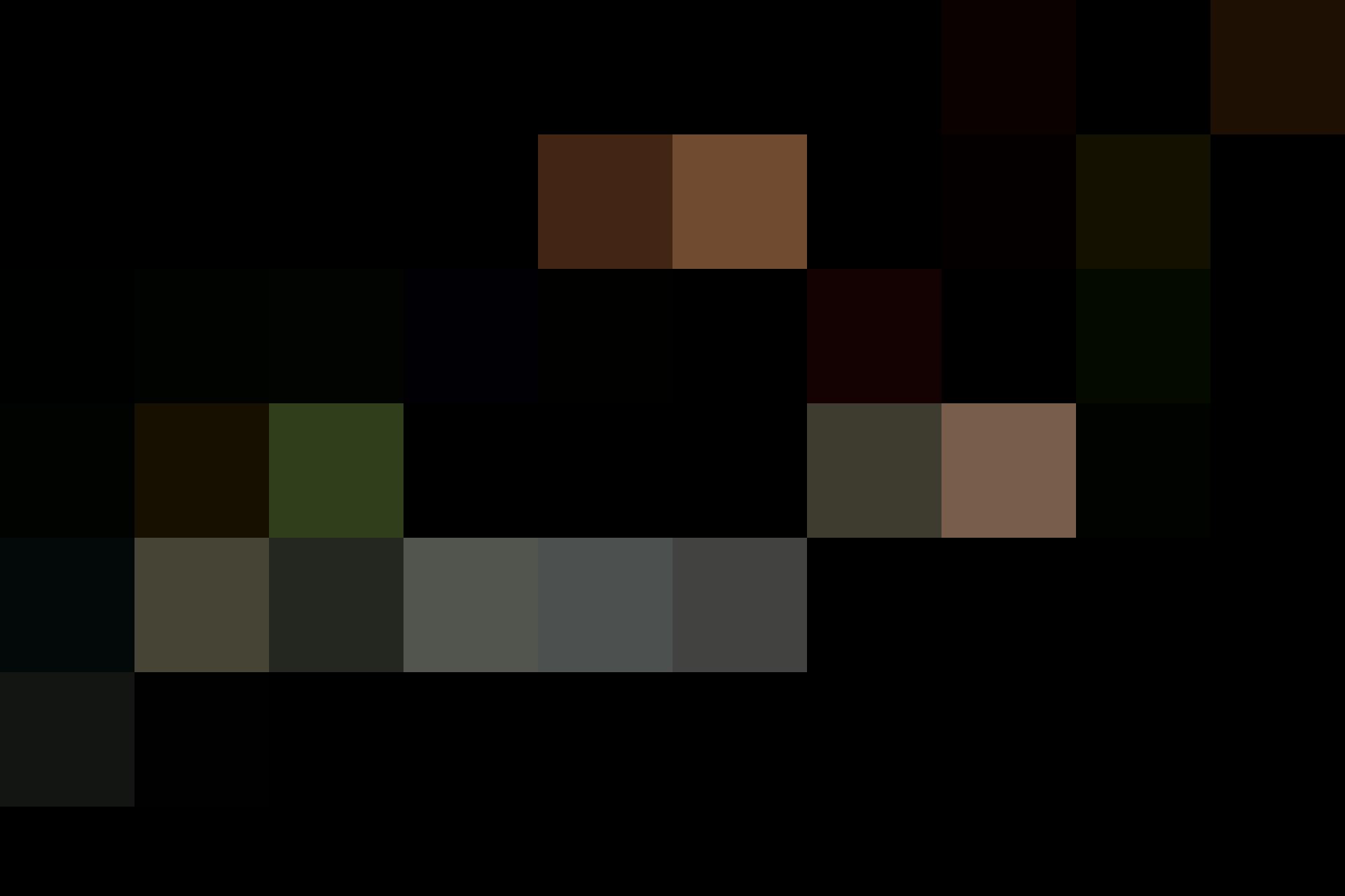 Cabernet 4