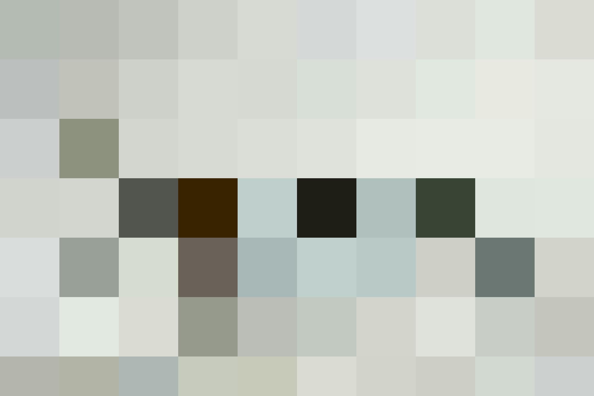 Chardonnay