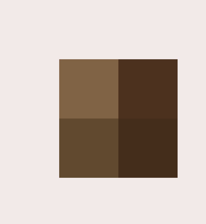 2 VF Canvas Tote Tan