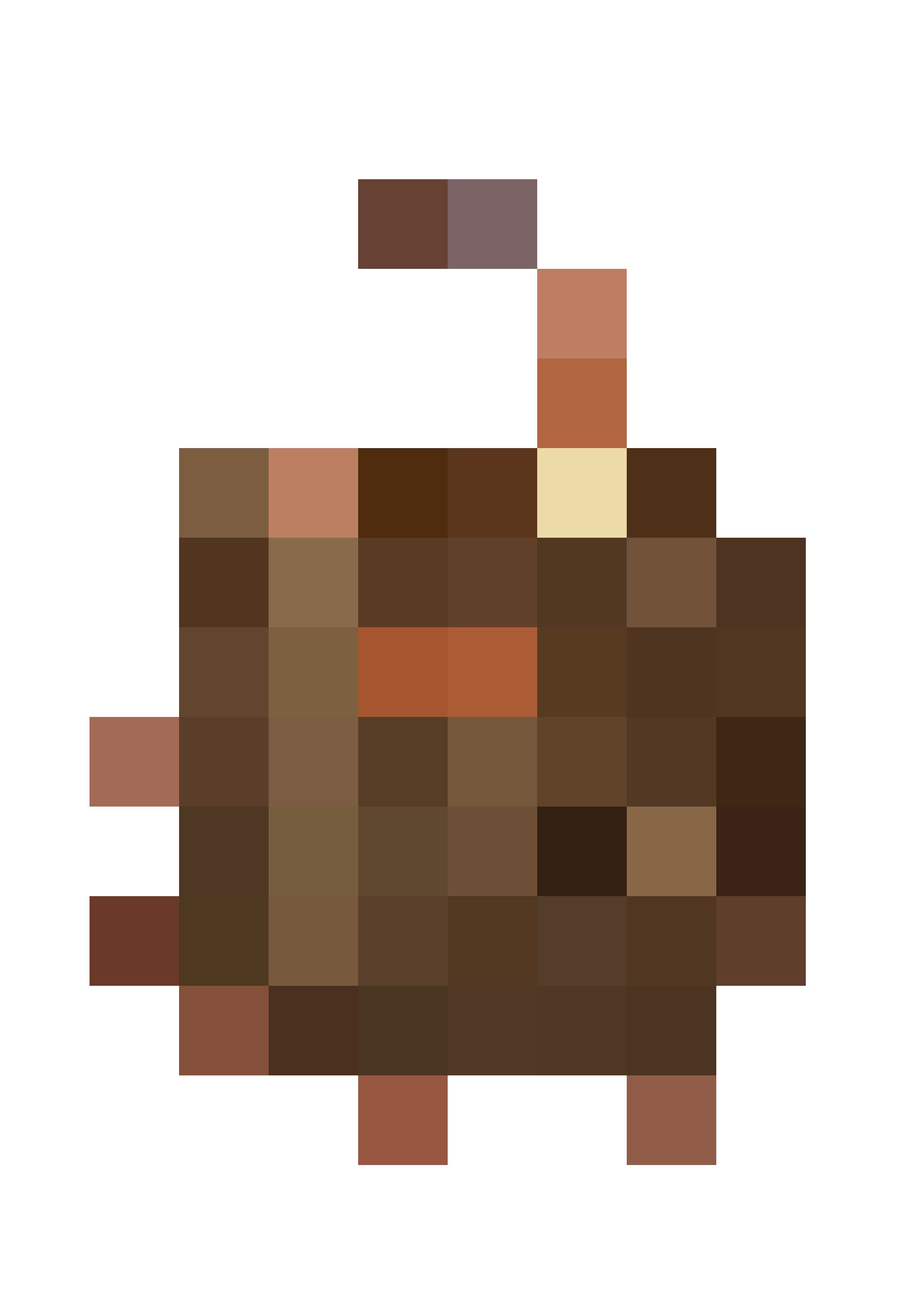 Tan tote