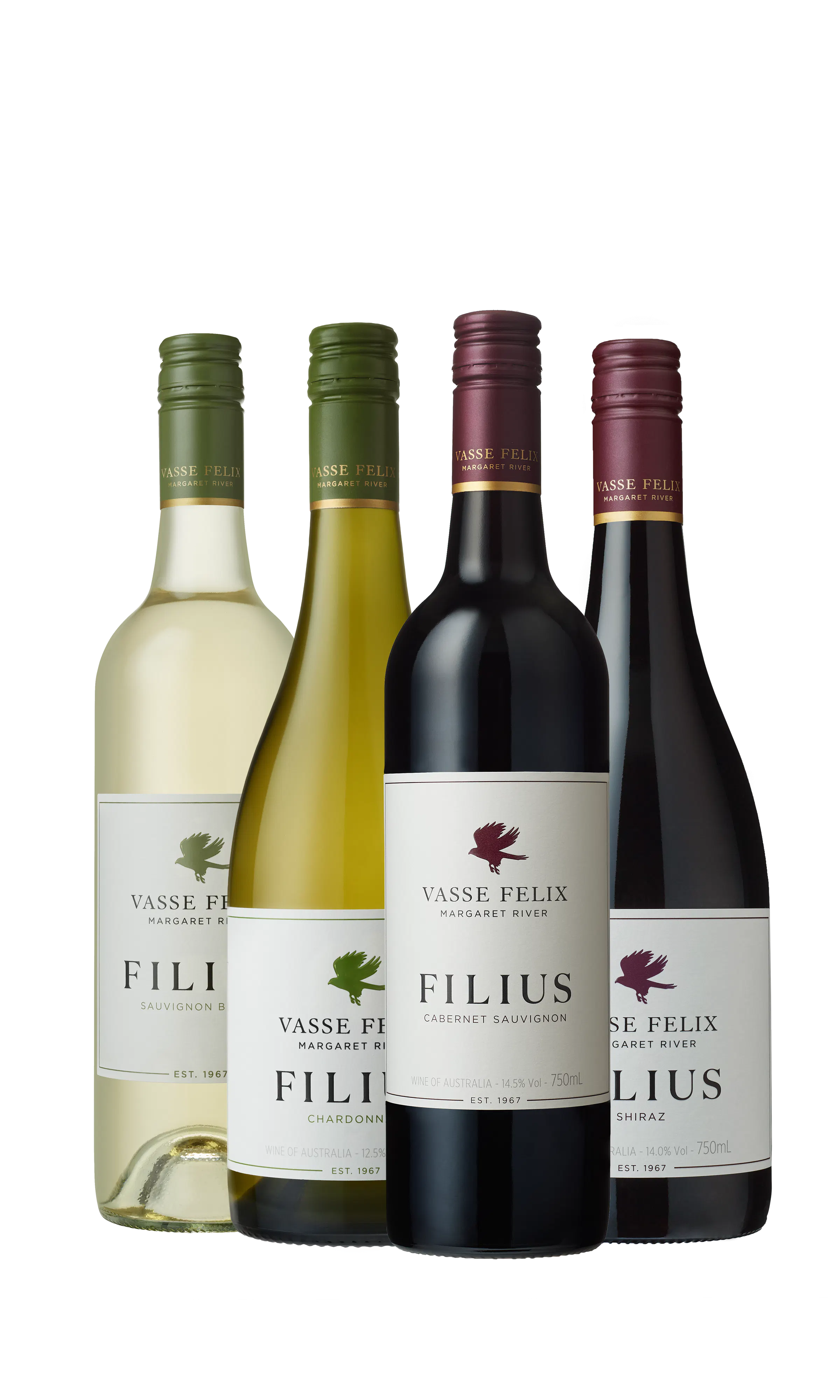 Product image filius four transparent