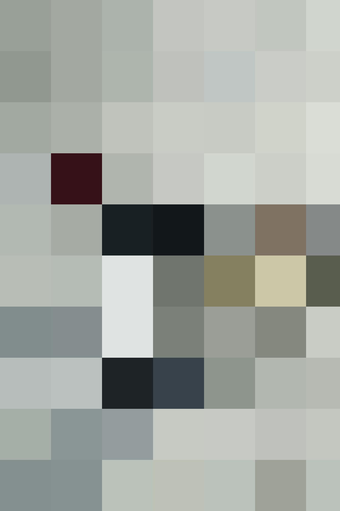 Cabernet Sauvignon Resize