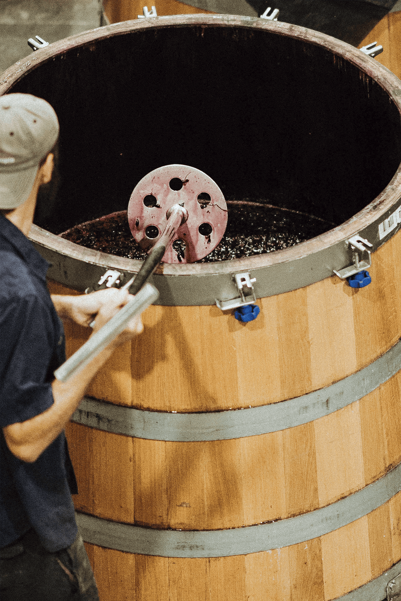 FSHZ reviews portrait