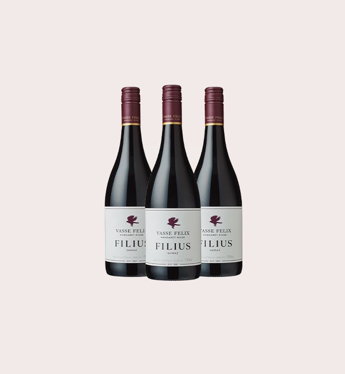 Filius Shiraz