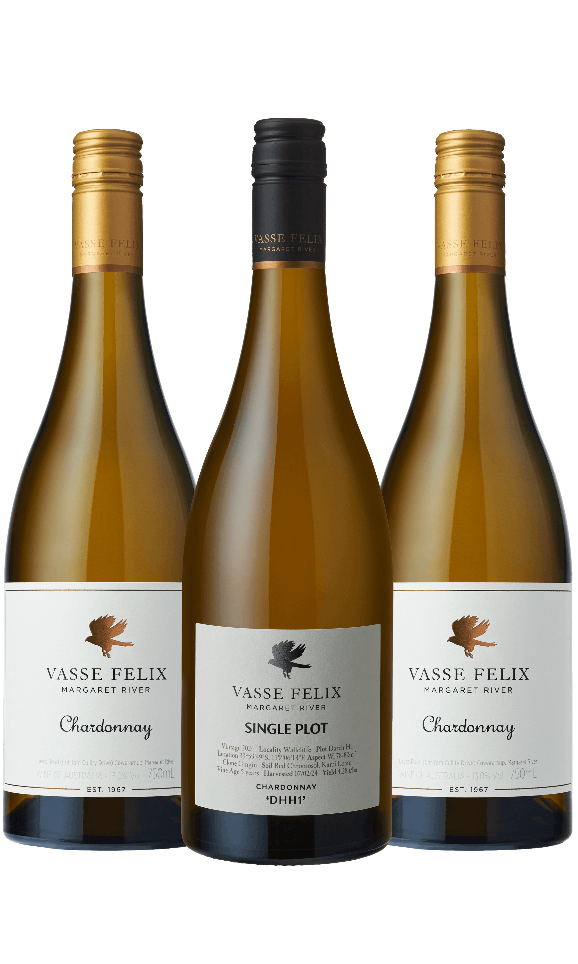 Chardonnay Celebration