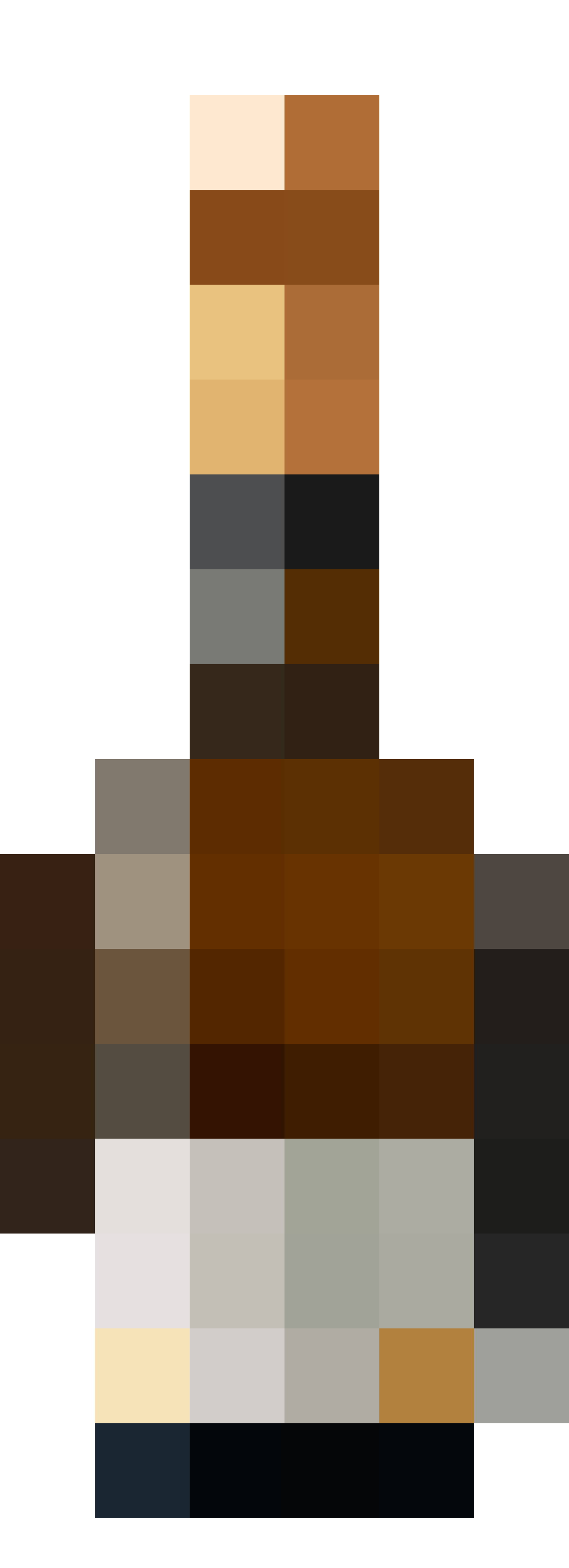 Idee fixe