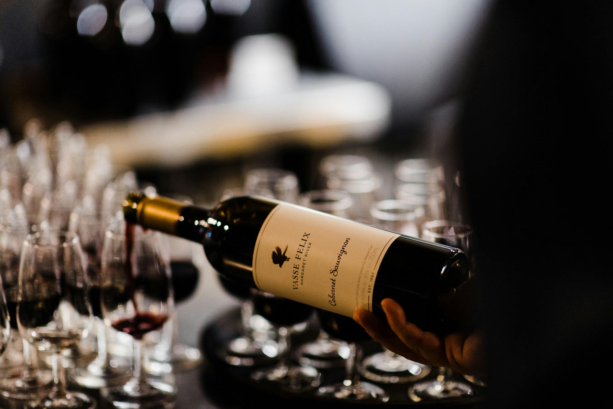 C ABERNET s AUVIGNON nv